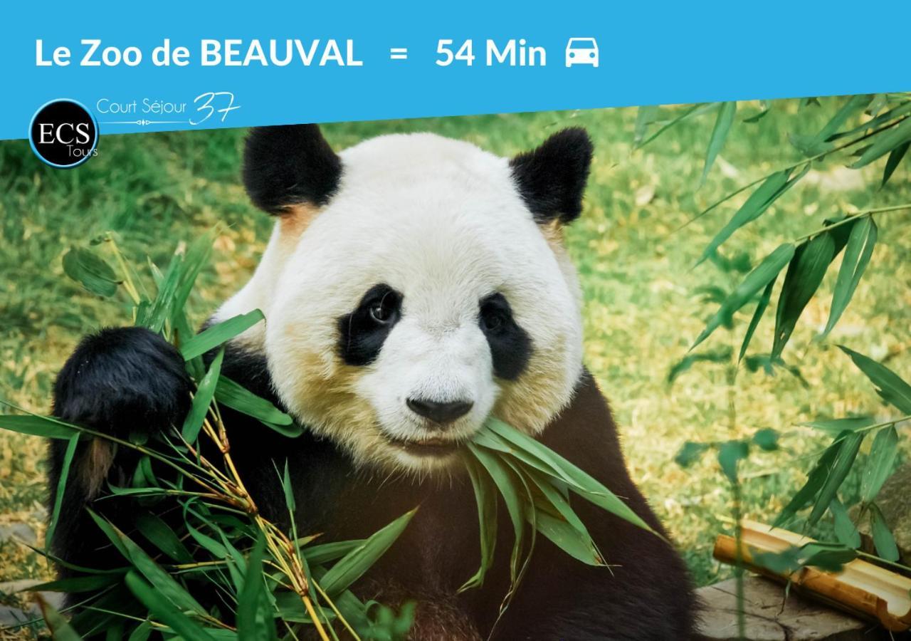 Le 6Eme Ciel De Gutenberg - Climatise Tours Ngoại thất bức ảnh